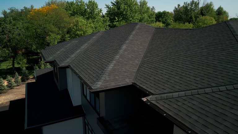 Best Asphalt Shingle Roofing  in Donna, TX