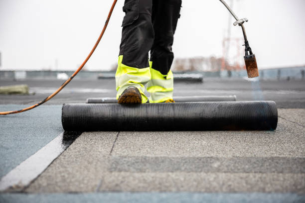 Best Gutter Installation and Repair  in Donna, TX
